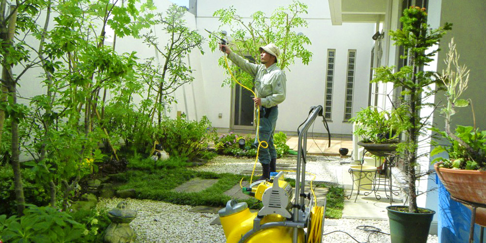 植木の消毒