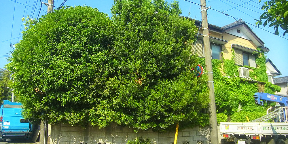 空家・空地管理 空家・空地管理